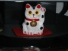 dscn0050